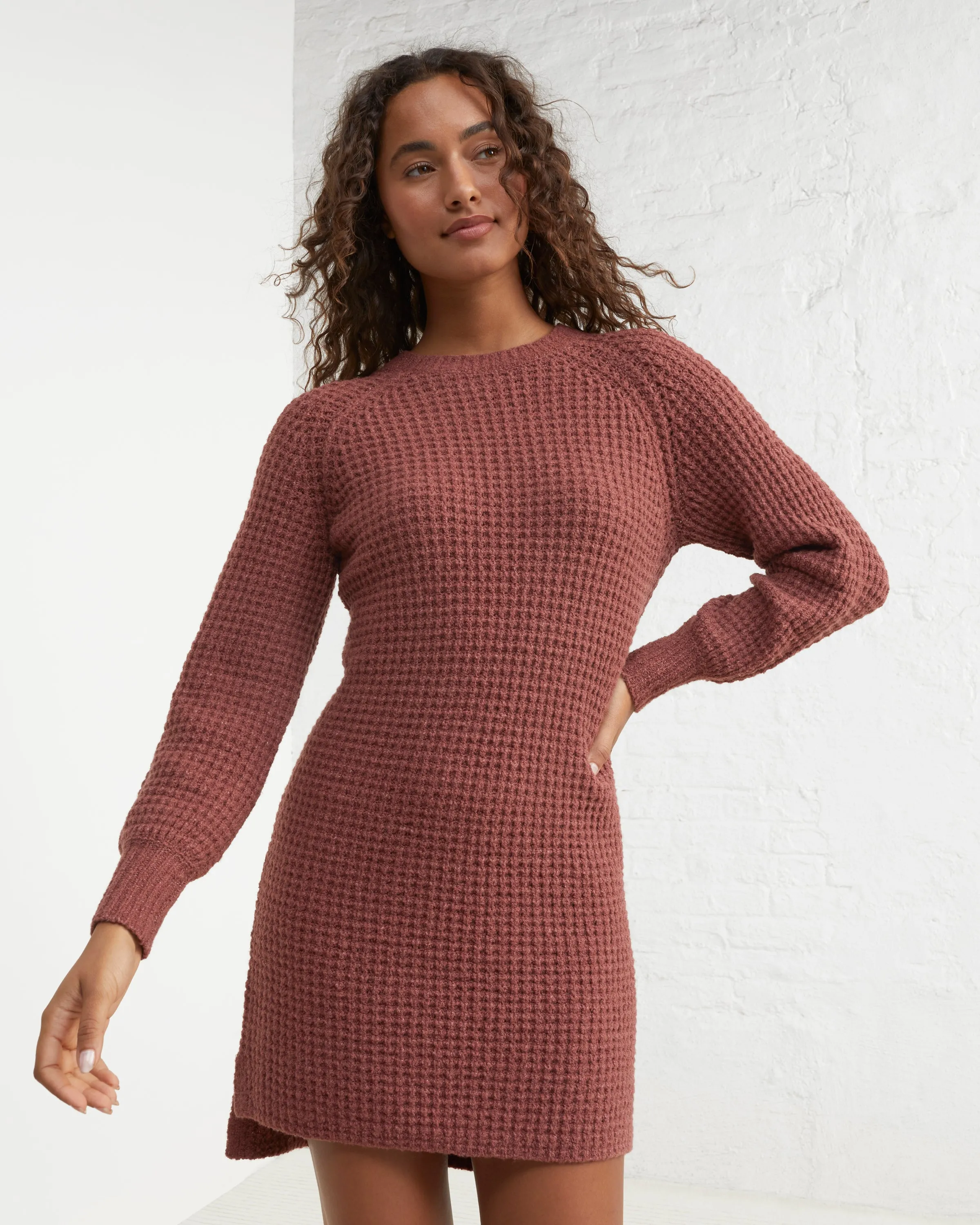 Cozy Crewneck Sweater Dress