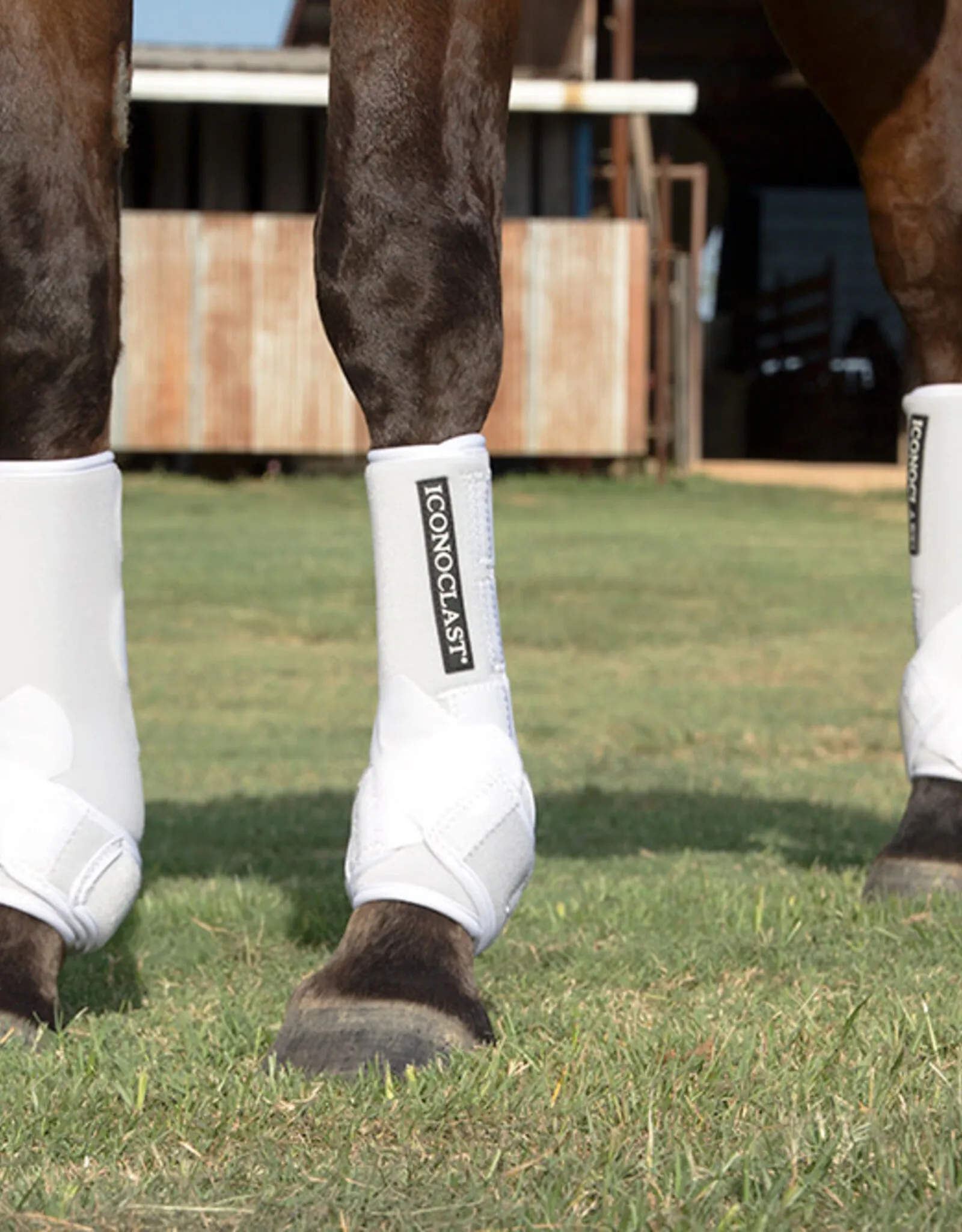 Iconoclast Front Orthopedic Support Boots for Horses