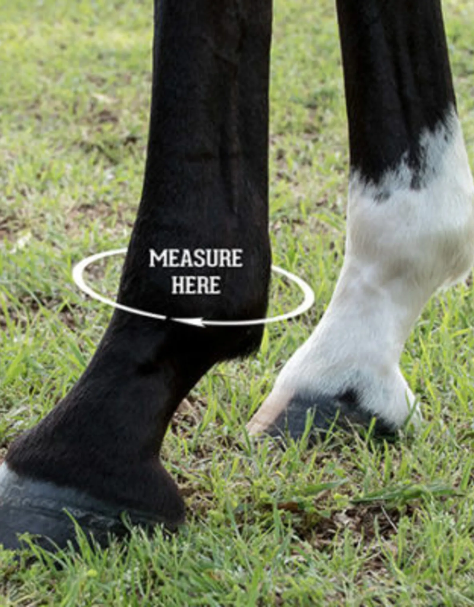 Iconoclast Hind Orthopedic Support Boots For Horses