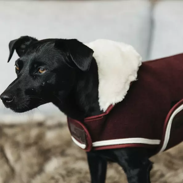 Kentucky Dog Coat Heavy Fleece - Bordeaux