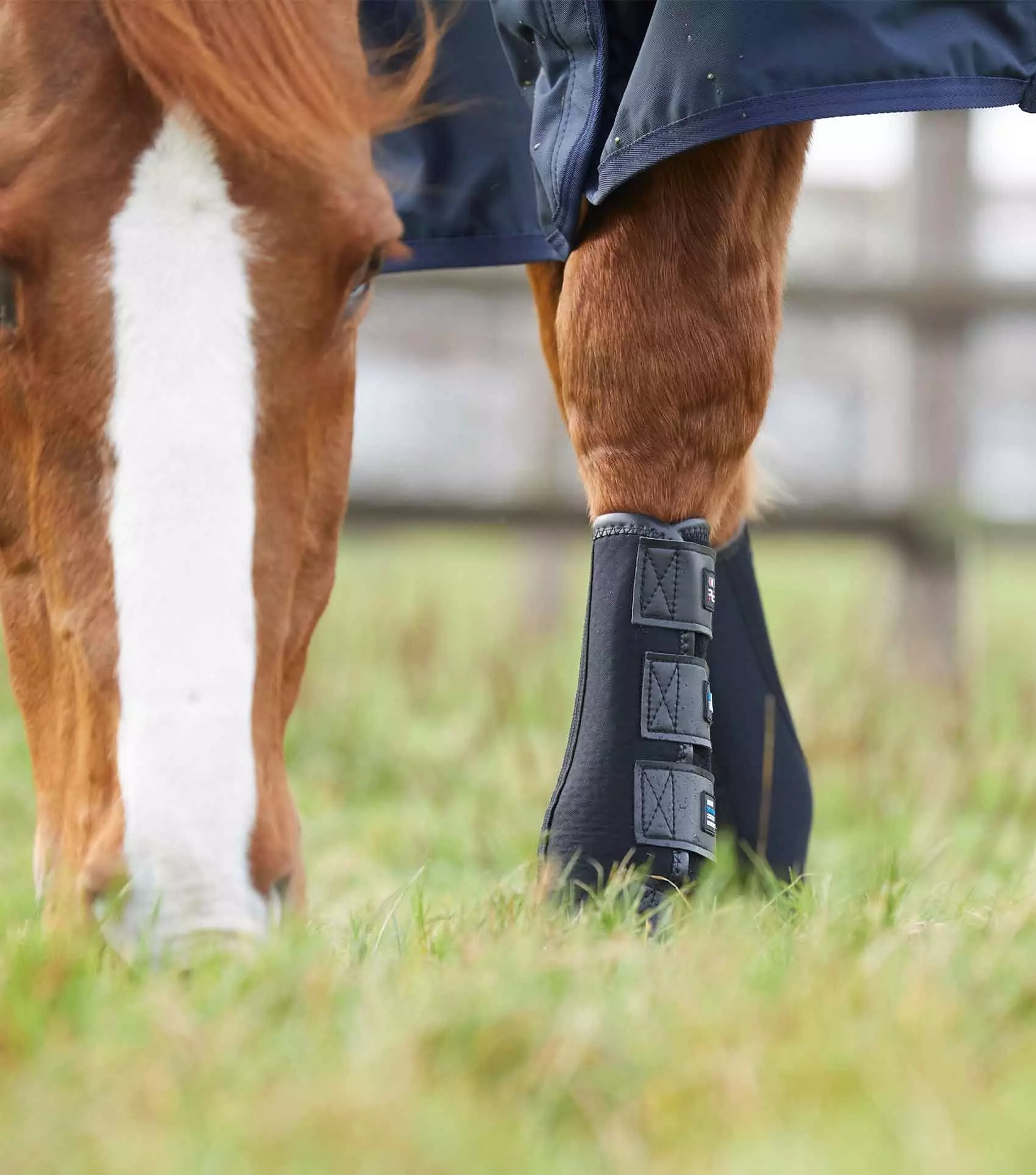 Premier Equine Turnout/ Mud Fever Boots